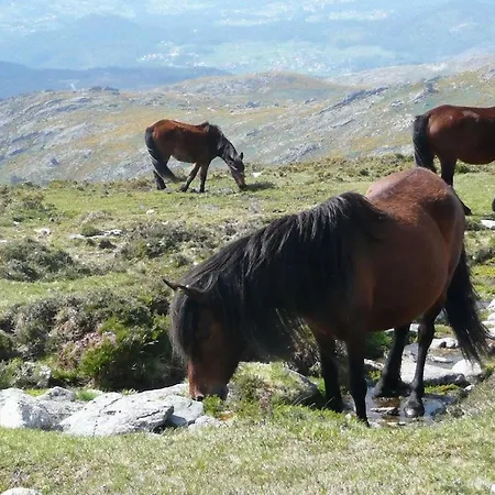 Casa Da Avó Casa de Férias Arcos de Valdevez