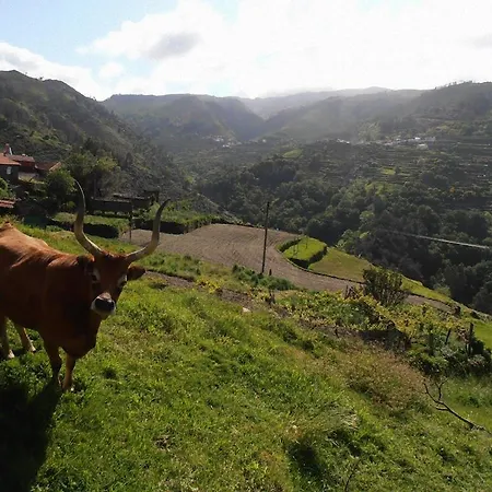 Casa Da Avo Nyaraló