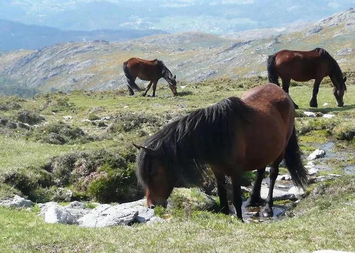 Casa Da Avo 度假居 阿尔库什迪瓦尔德维什