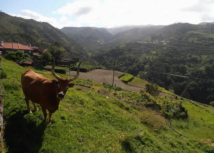 Casa Da Avo Casa vacanze