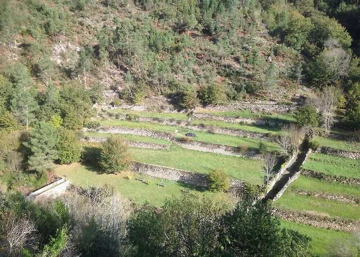 בית נופש Casa Da Avo *