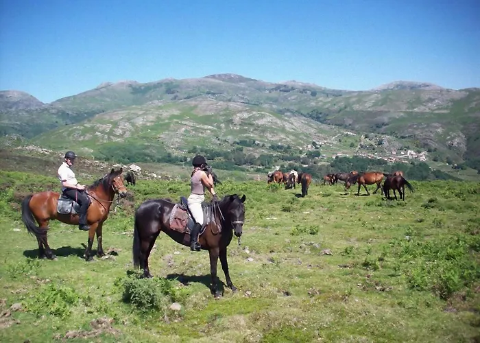 Casa Da Avo Dom wakacyjny *