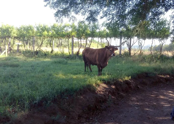 Casa Da Avo Casa vacanze *