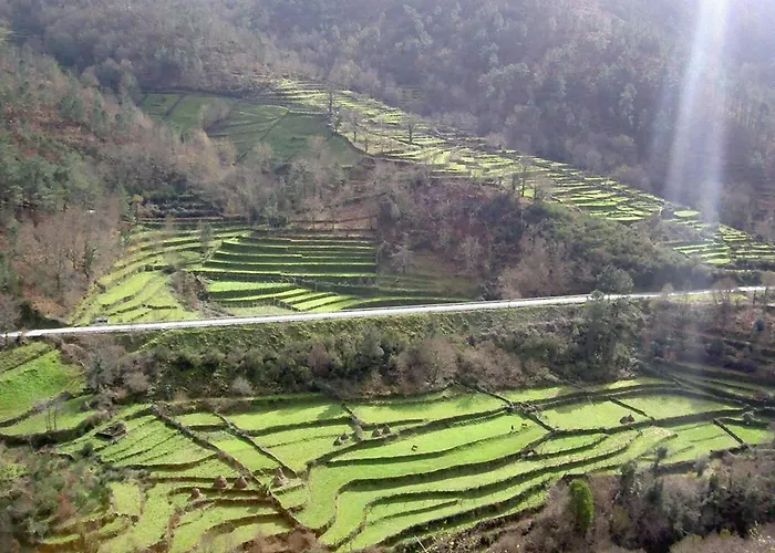 度假居 Casa Da Avo *